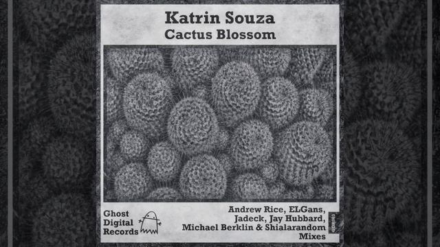Cactus Blossom (Jay Hubbard Remix) смотреть онлайн