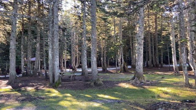 Бурса | куда съездить из Стамбула? | Bursa 2022