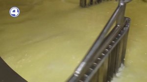 Как делают сыр? Производство сыра на заводе. Секреты изготовления.