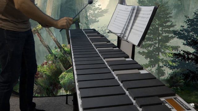 Forest Kingdom [NieR:Automata] - Guitar and Marimba Cover смотреть онлайн