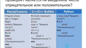 7 класс, алгоритм ветвления