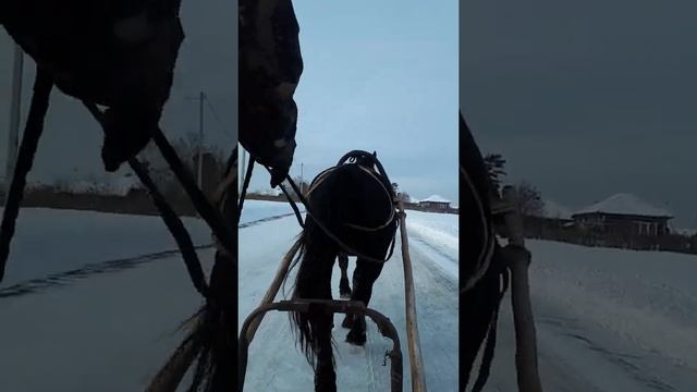 Бабочка + Дорожная от Гарика Сукачева смотреть онлайн