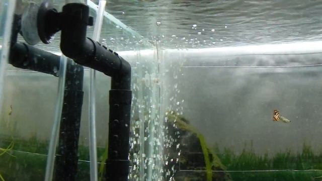 Флейта фильтра смотреть онлайн