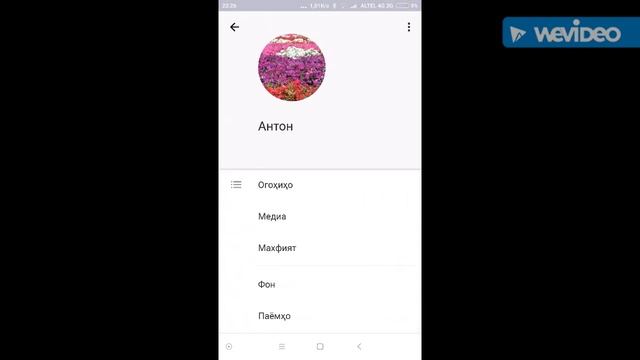 ТамТам - что такое и чем хорош?