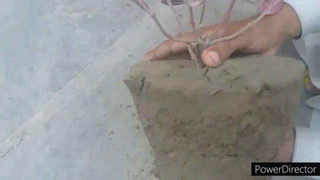 How to remove hard Soil from plants смотреть онлайн