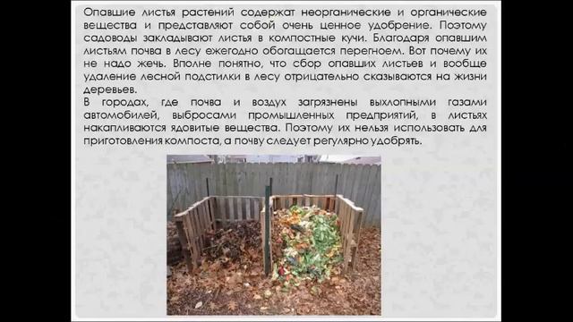 Выделение у растений. Биология 6 класс смотреть онлайн