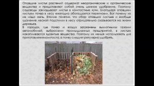 Выделение у растений. Биология 6 класс