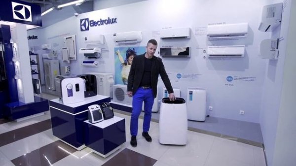 Мобильный кодиционер Electrolux Art Style