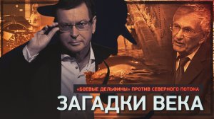 «Боевые дельфины» против «Северного потока»