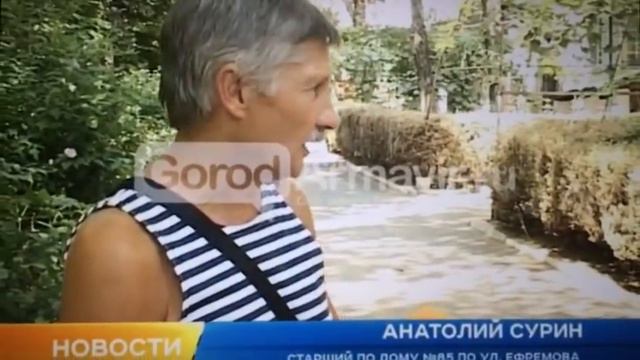 В Армавире появилась самшитовая огневка август 2016