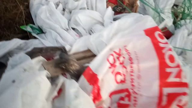 Снова про свинство. Или провал мусорной реформы? Эпизод 2 смотреть онлайн