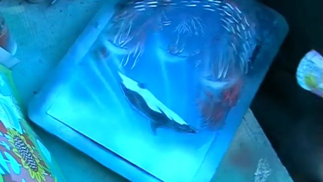 spray paint морской мир смотреть онлайн