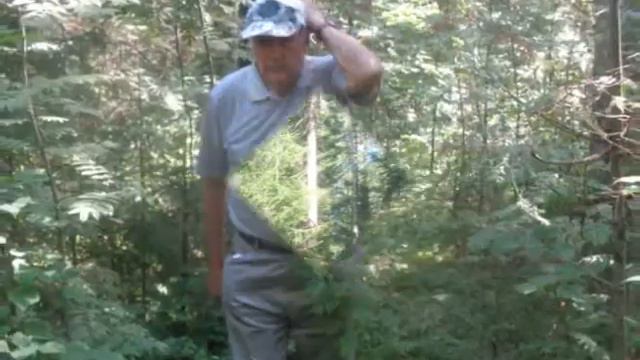 Я жду вас каждый день - Автор Любовь чернышова муз и исп Николай Жуков смотреть онлайн