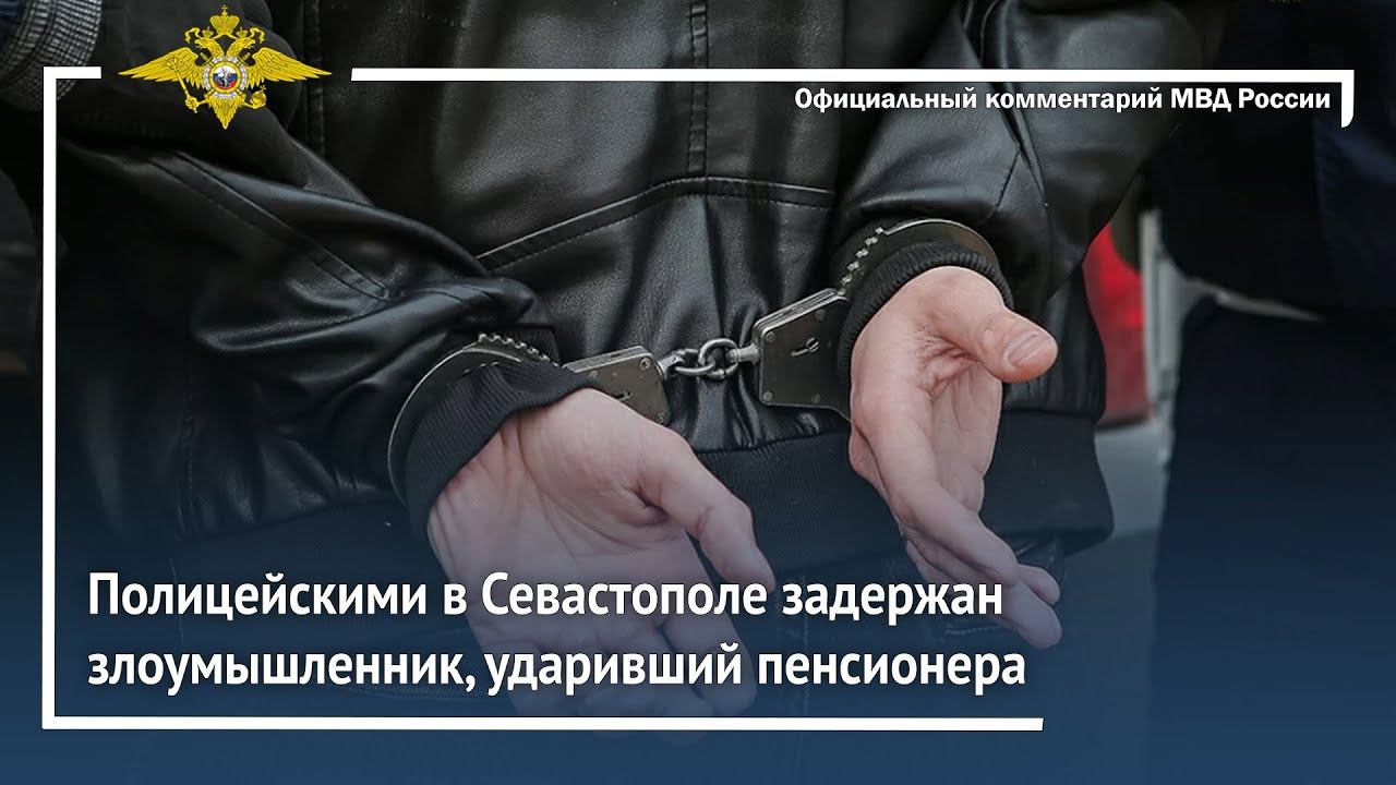 Ирина Волк: Полицейскими в Севастополе задержан злоумышленник, ударивший пенсионера смотреть онлайн