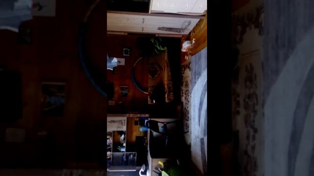 Как научиться делать кувырок через левое плечо смотреть онлайн