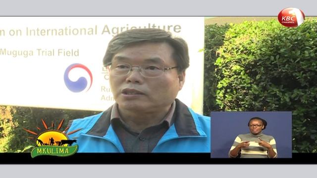 Mkulima: Kilimo cha 'strawberry' na 'cucumber' ndani ya greenhouse смотреть онлайн