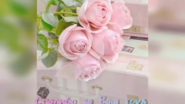 Поздравление с днем учителя от 6 класса. МБОУ г. Горловки "Школа № 25" смотреть онлайн