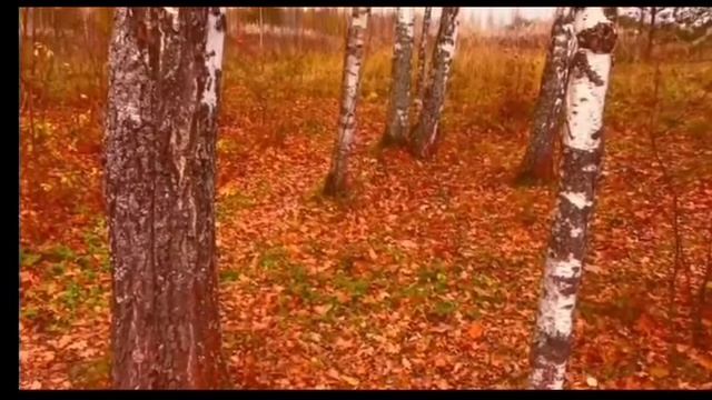 "Золотая Осень" Наталия Пряжникова смотреть онлайн