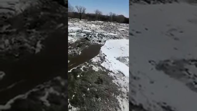Разрушен затор на реке Чарыш смотреть онлайн