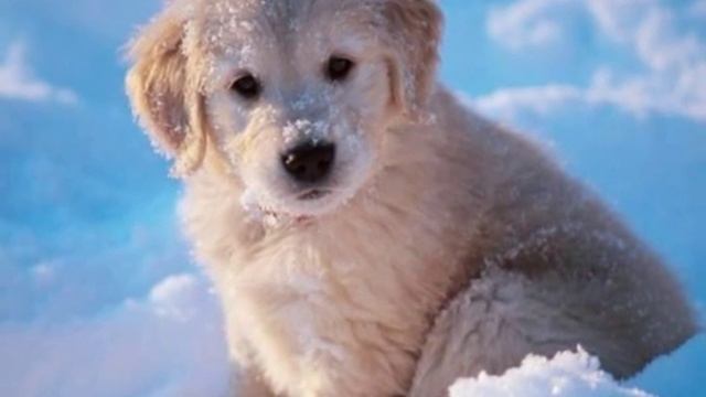 ВСЕМ ЗИМНИЙ ПРИВЕТИК !!! смотреть онлайн