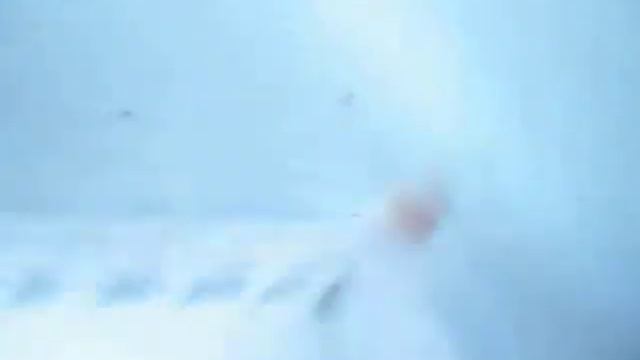 СИЛЬВАНИАН ФЭМИЛИС обзор шоколадного зайчика малыша смотреть онлайн