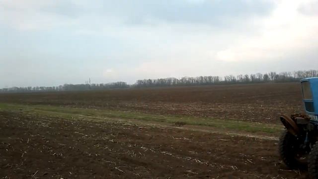 Гербицид Зоря м-900 по кукурузе смотреть онлайн