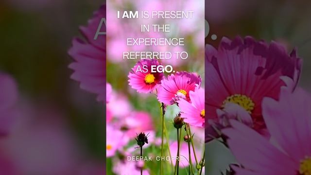 I AM is present in the experience referred to as ego. смотреть онлайн
