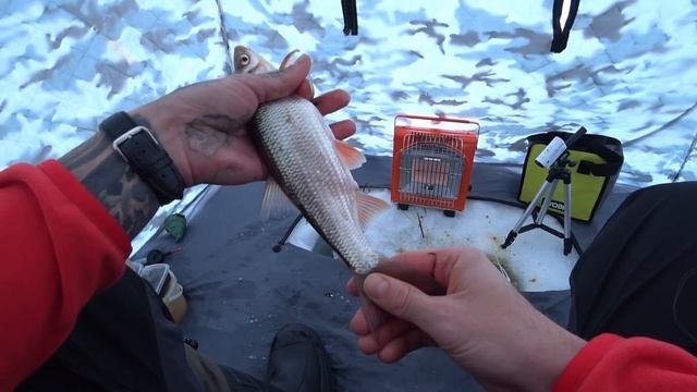 Вот Это я Понимаю Клёв...Такого Я Не Ожидал!!! Зимняя Рыбалка на Мормышку 2021.Закормил и Понеслос смотреть онлайн