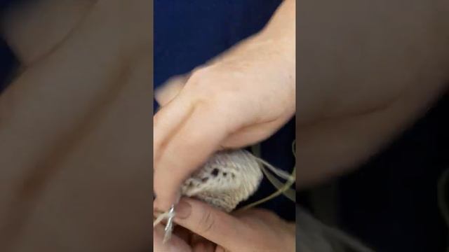 Урок 18. Накиды три простых рисунка для начинающих смотреть онлайн