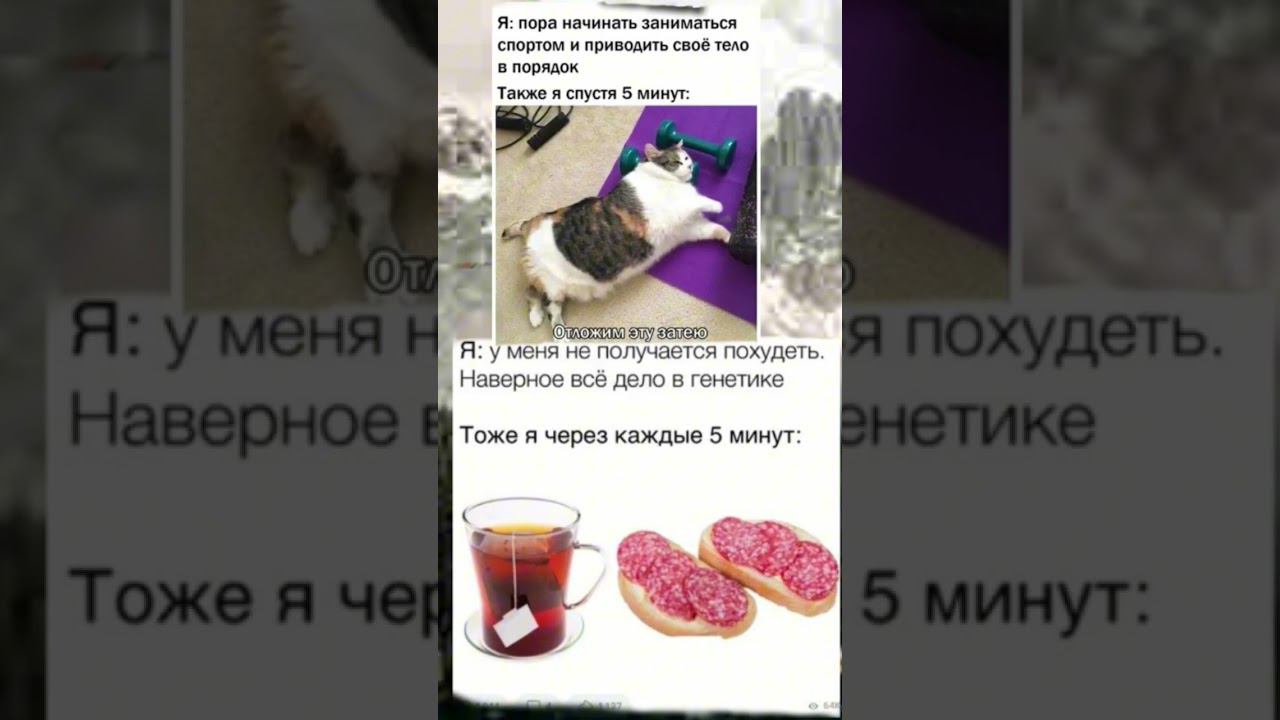 #рек #реки смотреть онлайн