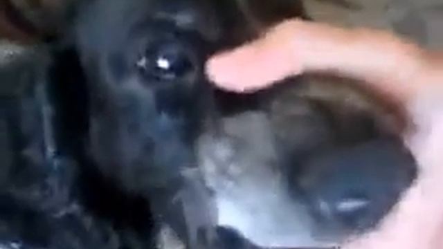 Бла бла бака! смотреть онлайн