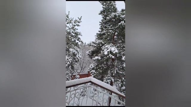 Спасаем розы и елочки.30.11.23.Сев Каз..Ч.620. смотреть онлайн
