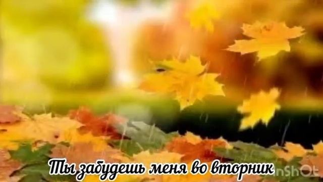 Ты забудешь меня во вторник смотреть онлайн