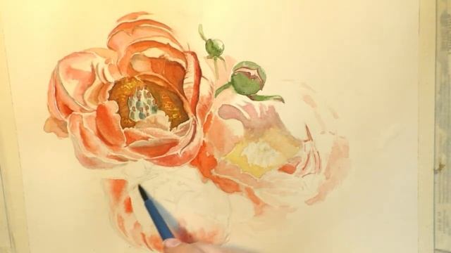 PEONY PAINTING OF A CORAL CHARM - WATERCOLOR смотреть онлайн
