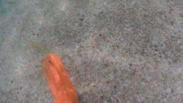Поиск КРЫМ 2018 СЕРЕБРО! Скубатектор! SCUBA TECTOR! смотреть онлайн
