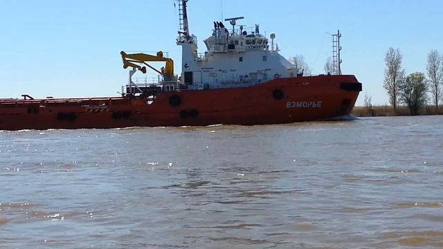 Банк Бахтемир. смотреть онлайн