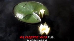 Милэшкэем
