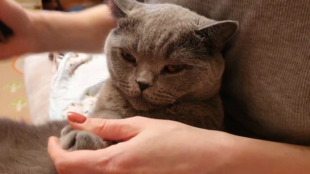 САЛОН КРАСОТЫ смотреть онлайн