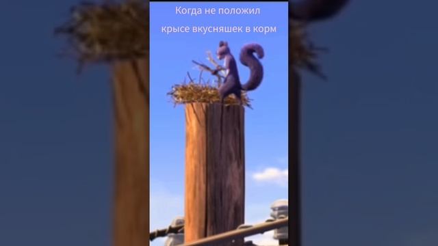 #крыса#белка#гнездо#птица#корм#вкусняшки#риальная_белка#shorts смотреть онлайн