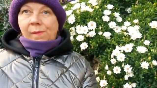 ЗАГРАНИЦА. УСПЕШНАЯ ЖЕНЩИНА ИЛИ К КОМУ БЫ ОПУ ПРИГРЕТЬ. смотреть онлайн