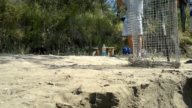 парень утонул на дарье смотреть онлайн