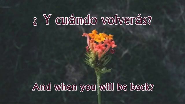 Soha - Mil pasos |letra en español-inglés| смотреть онлайн