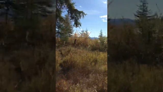 Рыбалка Магадан!! Озеро чистое 8 смотреть онлайн