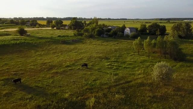 Село Мошны - без редактирования смотреть онлайн