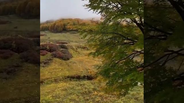 Псху,Абхазия смотреть онлайн