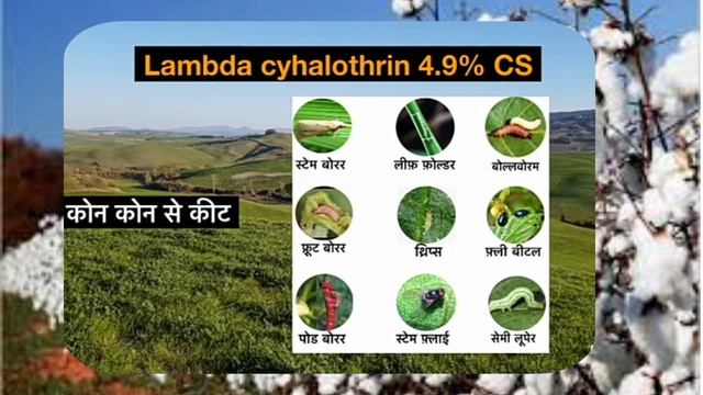 lambda cyhalothrin 4.9%cs, Lock++, कीटनाशक दवा, लैम्ब्डा साइहालोथ्रिन, lambda cyhalothrin 4.9 cs смотреть онлайн