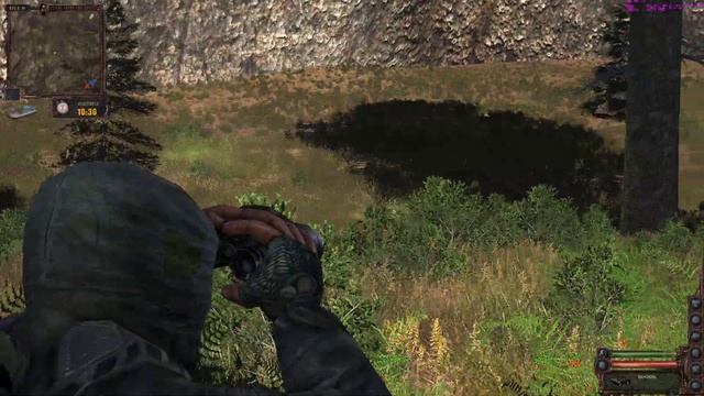 STALKER Lost Alpha Темная лощина смотреть онлайн