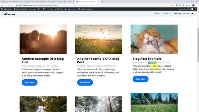 How To Sort Divi Blog Module Posts In Alphabetical Order смотреть онлайн