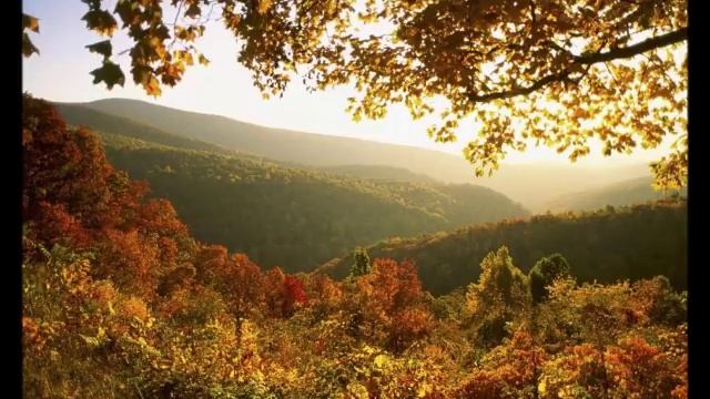 Осенний вальс смотреть онлайн