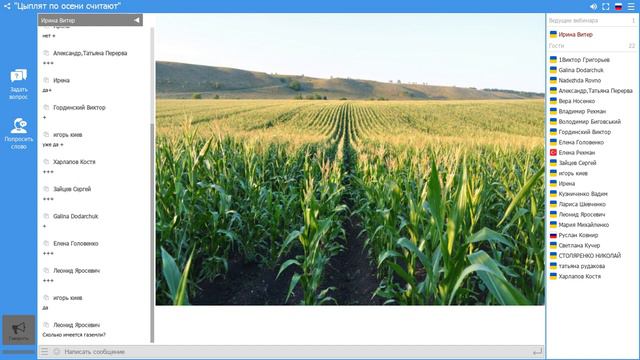 Цыплят по осени считают смотреть онлайн